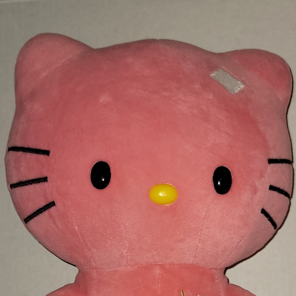 Hello Kitty Build A Bear Sunshine Limited Edition  Coral  Flower pink 2013 - Picture 8 of 11